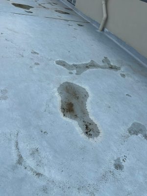 Hiện trạng bề mặt sàn bê tông nhà xưởng có dấu hiệu bong tróc trong quá trình kiểm định chất lượng công trình.