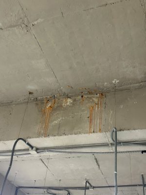 Hiện trạng kết cấu bê tông và khu vực tiếp giáp mái nhà xưởng có dấu hiệu xuống cấp trong quá trình kiểm định an toàn chịu lực.