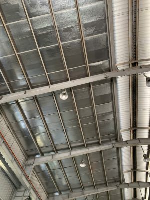 Kết cấu khung thép nhà xưởng đang được kiểm tra hiện trạng chịu lực tổng thể.