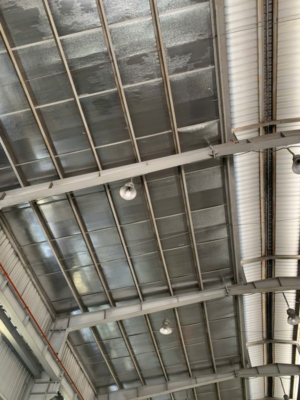 Kết cấu khung thép nhà xưởng đang được kiểm tra hiện trạng chịu lực tổng thể.