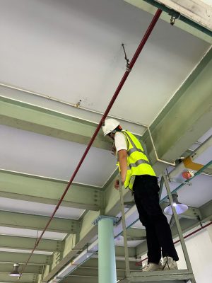 Kỹ sư kiểm định kiểm tra hiện trạng dầm, mái và hệ kết cấu phía trên nhà xưởng phục vụ audit nhà máy.