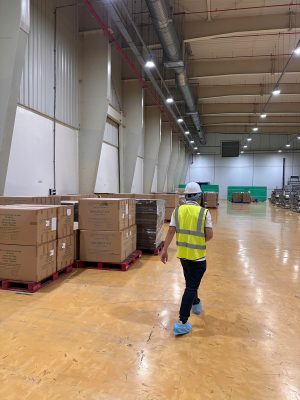 Kỹ sư kiểm định khảo sát hiện trạng nhà xưởng và kiểm tra nền công trình trong quá trình đánh giá chất lượng kết cấu. Công tác khảo sát giúp phát hiện các dấu hiệu hư hỏng và phục vụ kiểm định nhà xưởng, nhà máy.